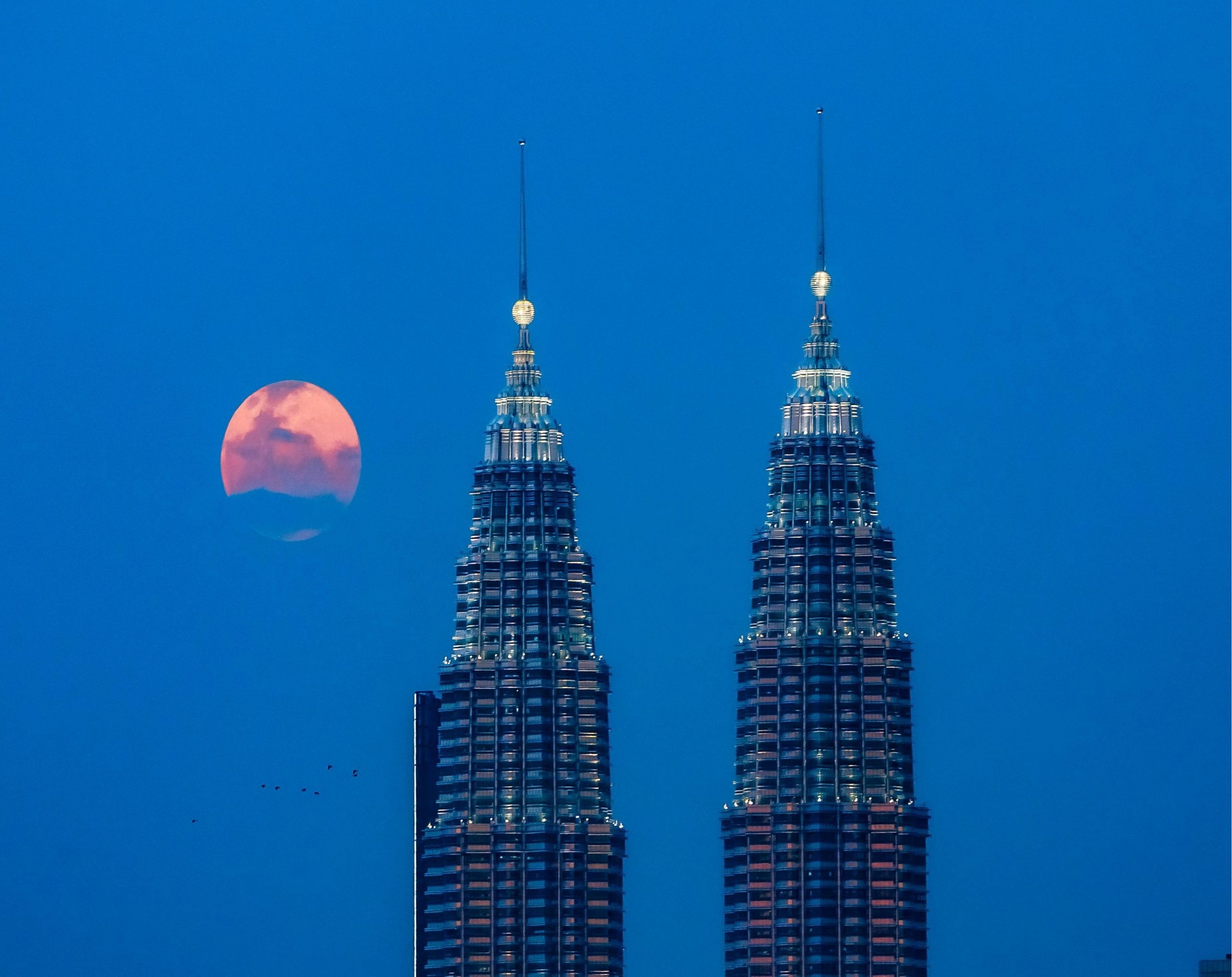 Tours to Malaysia in 2025